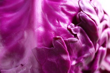 Taze kırmızı lahana, portre