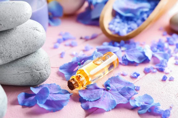 Spa composition with hydrangea flowers and bottle of oil on color table