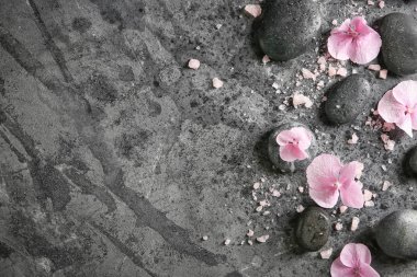 Spa taşlarla ortanca çiçek ve deniz tuzu gri arka plan üzerinde