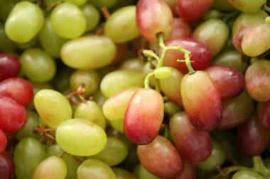 Taze Olgun üzüm, portre