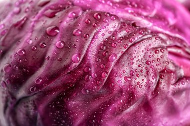 Olgun kırmızı lahana ile su damla, portre