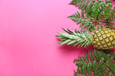 Taze tropikal yaprak ve ananas renk arka plan üzerinde