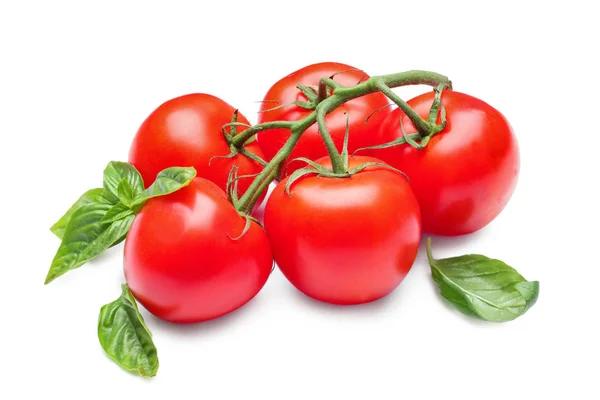 Köstliche Tomaten Und Frisches Basilikum Auf Weißem Hintergrund — Stockfoto