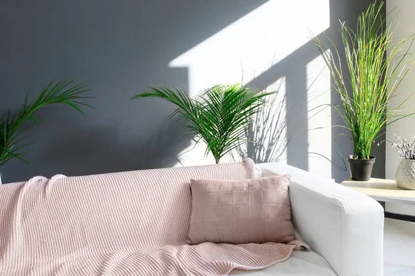 Bequemes Sofa Mit Tropischen Blättern Wohnzimmer — Stockfoto