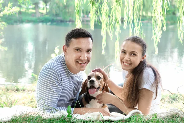 Junges Paar Mit Süßem Hund Ruht Park — Stockfoto