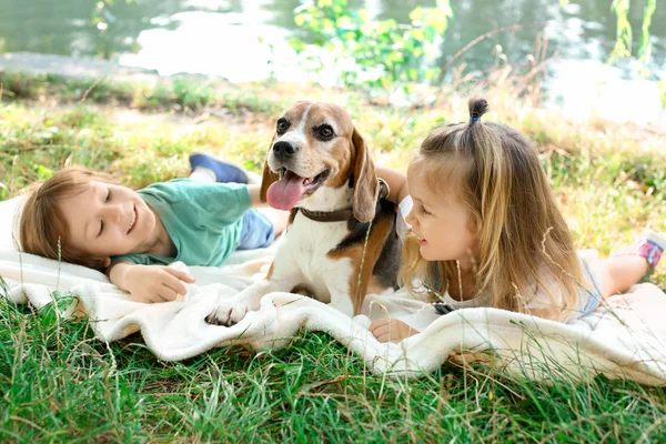 Niedliche Kinder Mit Hund Ruhen Park — Stockfoto