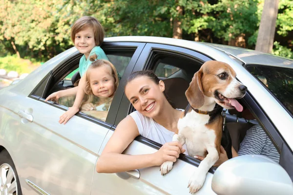 Família Feliz Com Cão Bonito Sentado Carro — Fotografia de Stock