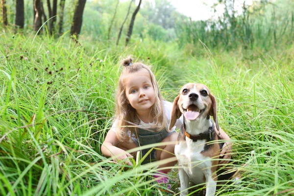 Menina Bonito Com Cão Descansando Parque Verde — Fotografia de Stock