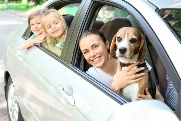 Gelukkige Familie Met Schattige Hond Zittend Auto — Stockfoto