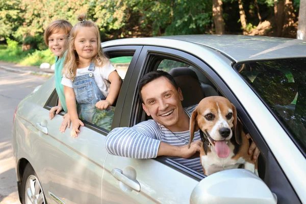 Família Feliz Com Cão Bonito Sentado Carro — Fotografia de Stock