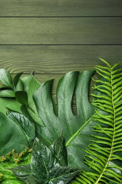 Fresh Tropical Leaves Wooden Background — Stock Photo, Image