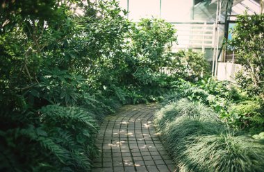 Sera Botanik Bahçe içinde farklı egzotik bitkiler