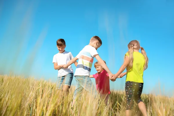 Милые Маленькие Дети Играют Пшеничном Поле Солнечный День — стоковое фото