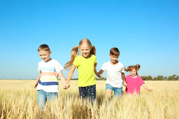 Petits Enfants Mignons Jouant Dans Champ Blé Par Une Journée — Photo