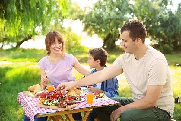 Happy Family Having Picnic Summer Day — Stock Photo, Image