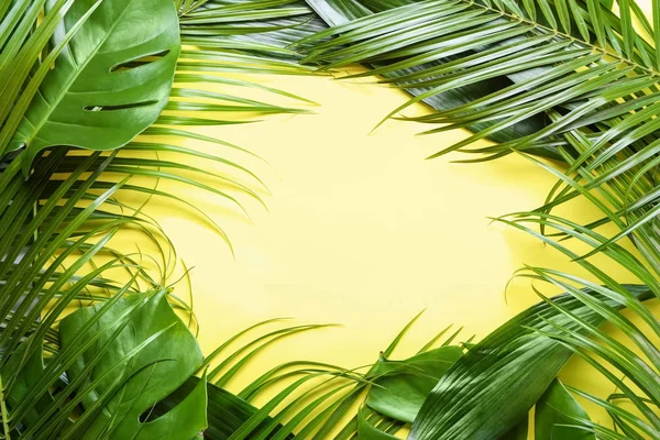 Renk Arka Plan Üzerinde Tropikal Yaprak Çerçeve Yaptı — Stok fotoğraf
