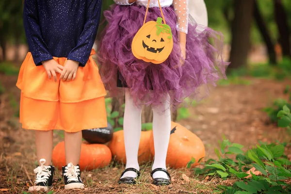 Cute Little Girls Dressed Halloween Autumn Park — Stock Photo, Image