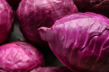 Olgun kırmızı lahana, portre