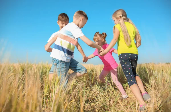 Söta Lilla Barn Som Leker Vetefält Solig Dag — Stockfoto