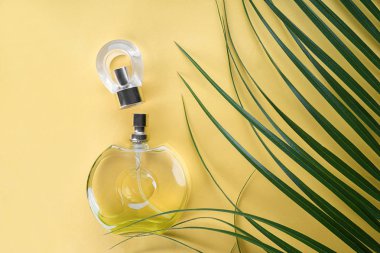 Şişe parfüm renk arka plan üzerinde tropikal yaprak ile