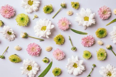 Işık arka plan üzerine güzel çiçekler ile düz yatıyordu kompozisyon