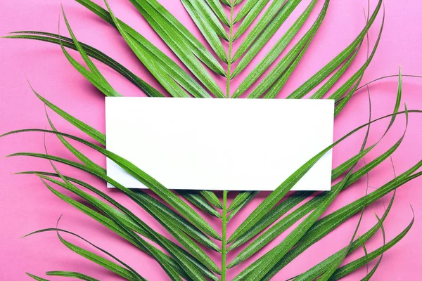 Composición Con Tarjeta Blanco Hoja Verde Tropical Sobre Fondo Color — Foto de Stock