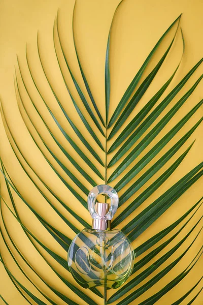 在颜色背景的热带叶子的香水瓶 — 图库照片