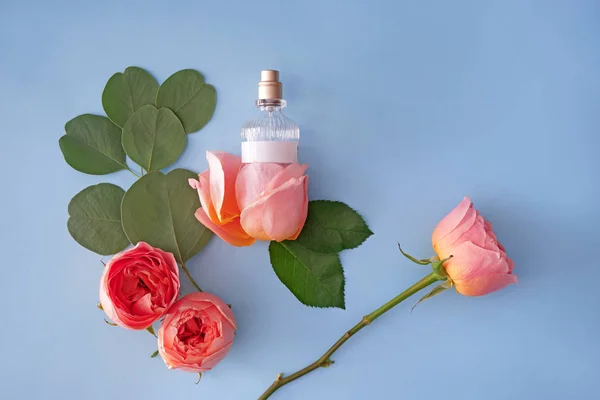 Bottle Perfume Beautiful Roses Color Background — Stock Photo, Image