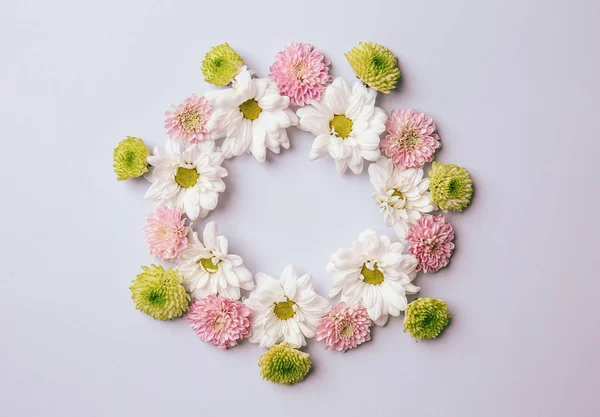 Frame Gemaakt Van Mooie Bloemen Lichte Ondergrond — Stockfoto