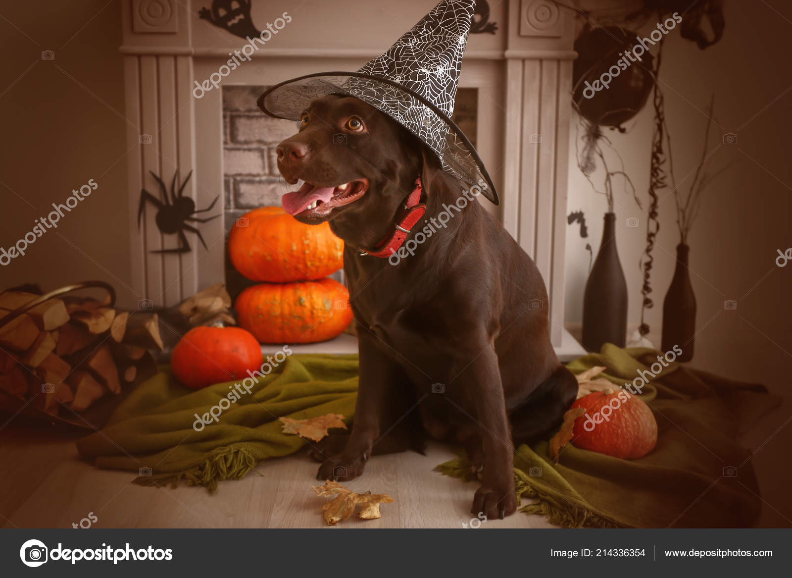 Cute Dog Hat Fireplace Decorated Halloween Stock Photo