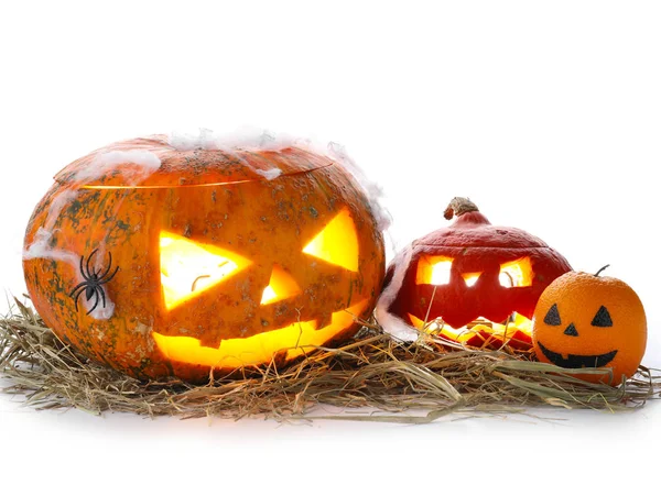 Decoraciones Creativas Para Halloween Sobre Fondo Blanco — Foto de Stock