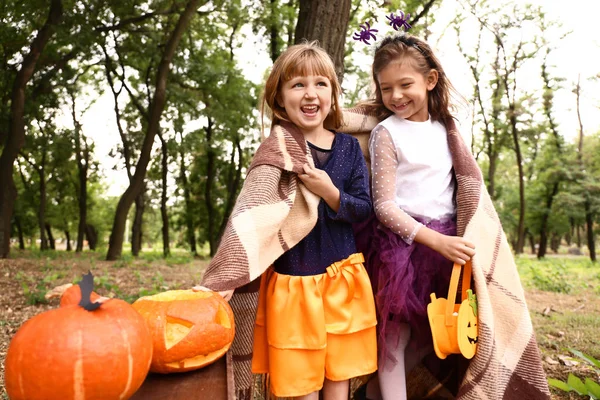 Leuke Kleine Meisjes Met Halloween Pompoenen Herfst Park — Stockfoto