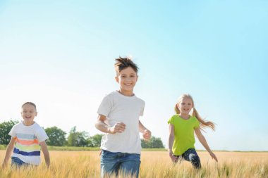 Sevimli küçük çocuklar buğday alanında güneşli günde oyun