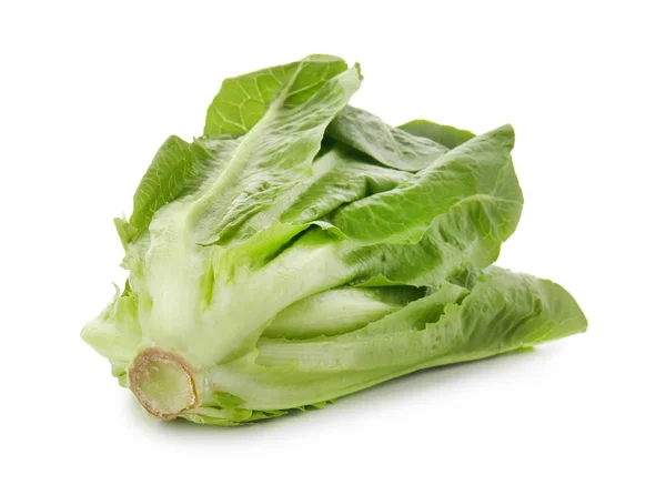 Fresh Ripe Cabbage White Background — Stock Photo, Image