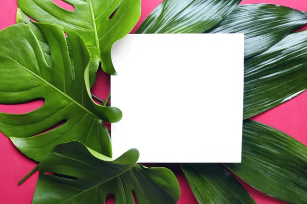 Composición Con Tarjeta Blanco Hojas Verdes Tropicales Sobre Fondo Color — Foto de Stock