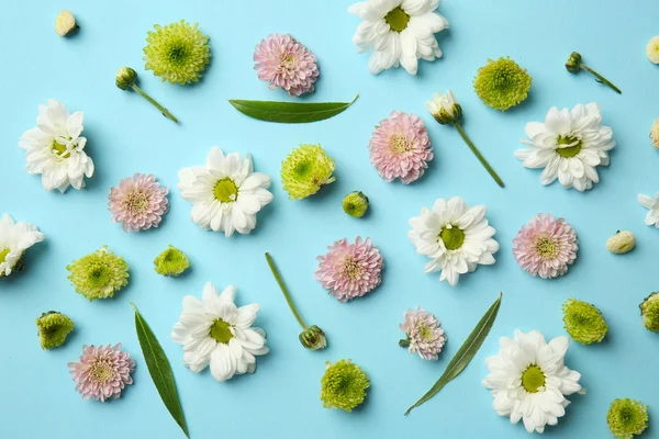Flache Komposition Mit Schönen Blumen Auf Farbigem Hintergrund — Stockfoto