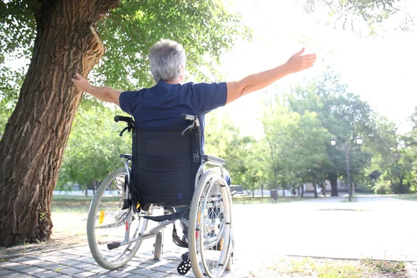 Happy Senior Man Wheelchair Outdoors — Stock Photo, Image