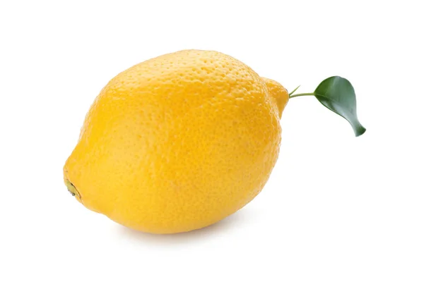Whole Ripe Lemon White Background — Stock Photo, Image