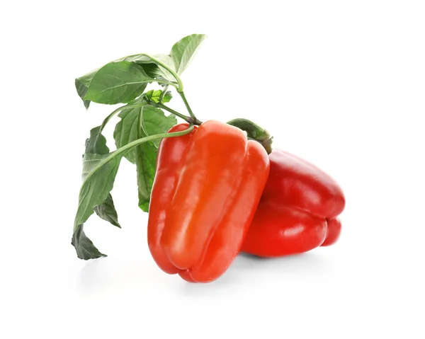 Fresh Red Peppers White Background — Stock Photo, Image