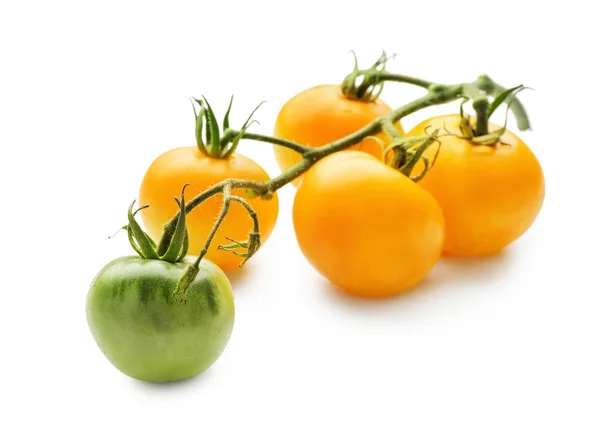 Pomodori Freschi Gialli Sfondo Bianco — Foto Stock