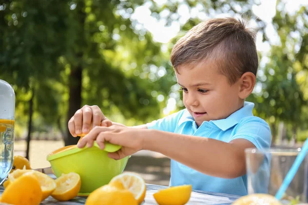 Little Boy Preparing Fresh Lemonade Park — Stock Photo, Image