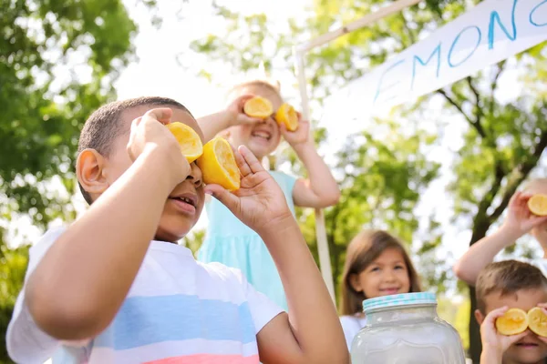 在公园里准备新鲜柠檬水的小孩子玩耍 — 图库照片
