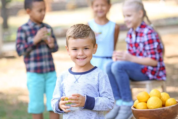 Μικρό Αγόρι Ποτήρι Φυσικό Λεμονάδα Αναπαύεται Στο Πάρκο — Φωτογραφία Αρχείου