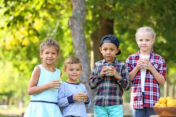 Kleine Kinder Mit Natürlicher Limonade Ruhen Park — Stockfoto