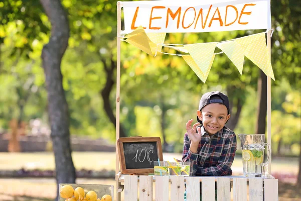 Little African American Boy Lemonade Stand Park — Stock Photo, Image