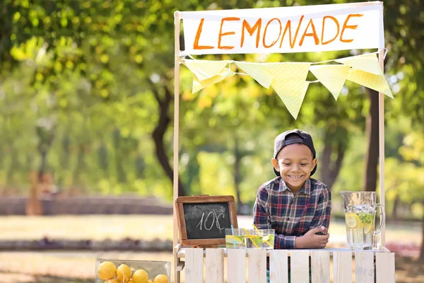 Menino Afro Americano Quiosque Limonada Parque — Fotografia de Stock