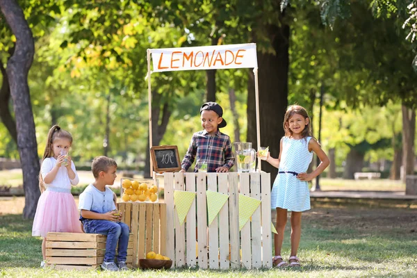 Little African American Boy Selling Lemonade Counter Park — Stock Photo, Image