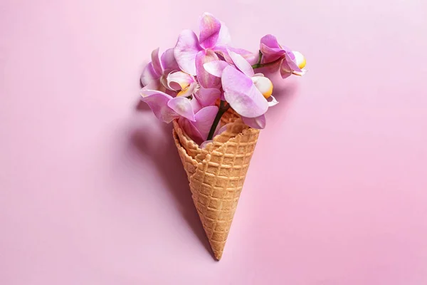 Wafer Cone Beautiful Orchid Flowers Color Background — Stock Photo, Image