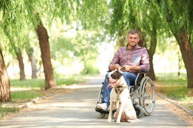 Tekerlekli sandalye ve hizmet köpeği açık havada Genç adam