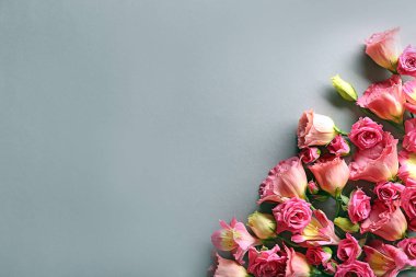 Gri arka plan üzerinde güzel çiçek açan çiçekler ile kompozisyon